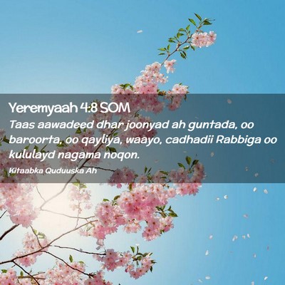 Picture 02 - Yeremyaah 4:8 SOM - Taas aawadeed dhar joonyad ah guntada, oo - Bible Verse Picture