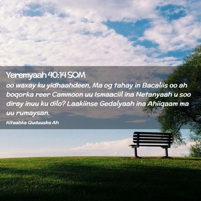 Picture 02 - Yeremyaah 40:14 SOM - oo waxay ku yidhaahdeen, Ma og tahay in Bacaliis - Bible Verse Picture