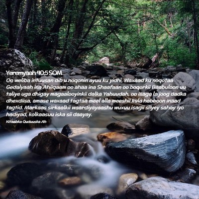 Picture 02 - Yeremyaah 40:5 SOM - Oo weliba intuusan dib u noqonin ayuu ku yidhi, - Bible Verse Picture