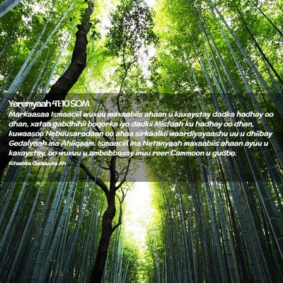 Picture 02 - Yeremyaah 41:10 SOM - Markaasaa Ismaaciil wuxuu maxaabiis ahaan u - Bible Verse Picture