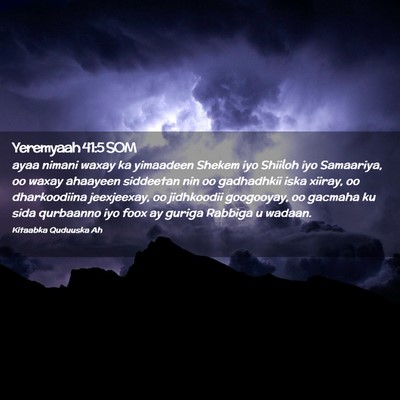 Picture 02 - Yeremyaah 41:5 SOM - ayaa nimani waxay ka yimaadeen Shekem iyo Shiiloh - Bible Verse Picture