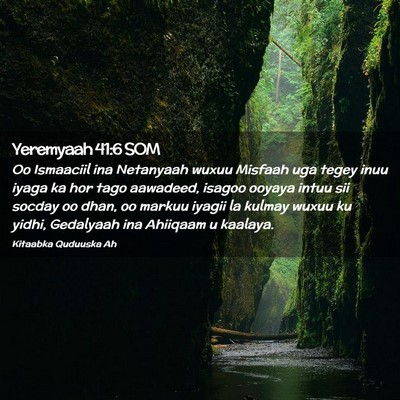 Picture 02 - Yeremyaah 41:6 SOM - Oo Ismaaciil ina Netanyaah wuxuu Misfaah uga - Bible Verse Picture