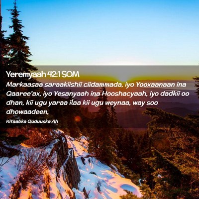 Picture 02 - Yeremyaah 42:1 SOM - Markaasaa saraakiishii ciidammada, iyo Yooxaanaan - Bible Verse Picture