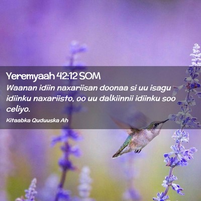 Picture 02 - Yeremyaah 42:12 SOM - Waanan idiin naxariisan doonaa si uu isagu - Bible Verse Picture