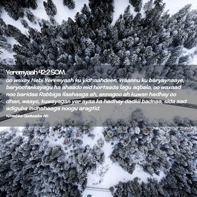 Picture 02 - Yeremyaah 42:2 SOM - oo waxay Nebi Yeremyaah ku yidhaahdeen, Waannu ku - Bible Verse Picture