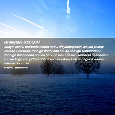 Picture 02 - Yeremyaah 42:20 SOM - Waayo, idinku nafsaddiinnaad aad u khiyaanayseen, - Bible Verse Picture