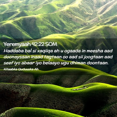 Picture 02 - Yeremyaah 42:22 SOM - Haddaba bal si xaqiiqa ah u ogaada in meesha aad - Bible Verse Picture