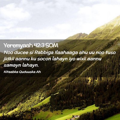 Picture 02 - Yeremyaah 42:3 SOM - Noo ducee si Rabbiga Ilaahaaga ahu uu noo tuso - Bible Verse Picture