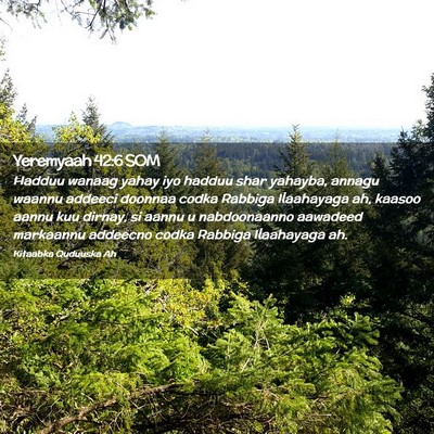 Picture 02 - Yeremyaah 42:6 SOM - Hadduu wanaag yahay iyo hadduu shar yahayba, - Bible Verse Picture