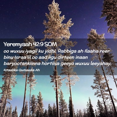 Picture 02 - Yeremyaah 42:9 SOM - oo wuxuu iyagii ku yidhi, Rabbiga ah Ilaaha reer - Bible Verse Picture