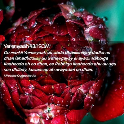 Picture 02 - Yeremyaah 43:1 SOM - Oo markii Yeremyaah uu wada dhammeeyey dadka oo - Bible Verse Picture