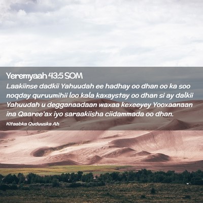 Picture 02 - Yeremyaah 43:5 SOM - Laakiinse dadkii Yahuudah ee hadhay oo dhan oo ka - Bible Verse Picture