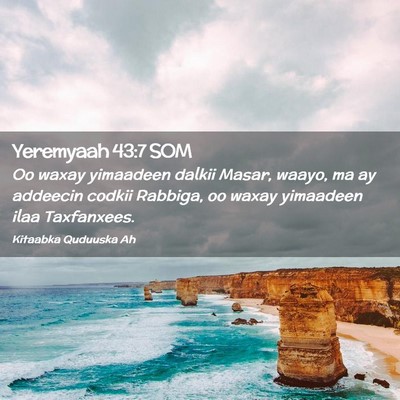 Picture 02 - Yeremyaah 43:7 SOM - Oo waxay yimaadeen dalkii Masar, waayo, ma ay - Bible Verse Picture