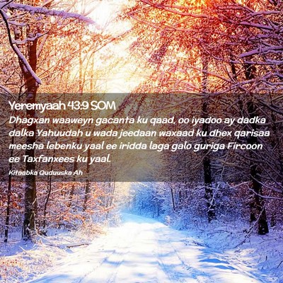 Picture 02 - Yeremyaah 43:9 SOM - Dhagxan waaweyn gacanta ku qaad, oo iyadoo ay - Bible Verse Picture
