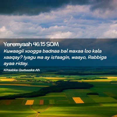 Picture 02 - Yeremyaah 46:15 SOM - Kuwaagii xoogga badnaa bal maxaa loo kala xaaqay? - Bible Verse Picture