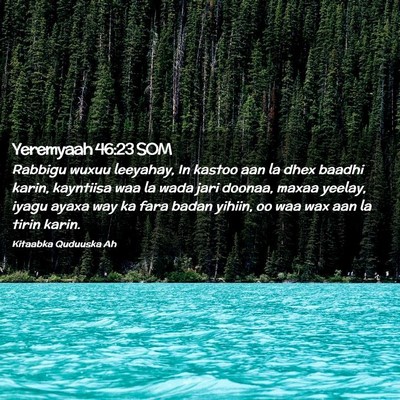Picture 02 - Yeremyaah 46:23 SOM - Rabbigu wuxuu leeyahay, In kastoo aan la dhex - Bible Verse Picture
