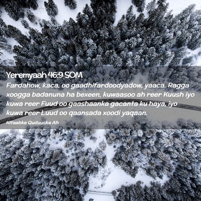 Picture 02 - Yeremyaah 46:9 SOM - Fardahow, kaca, oo gaadhifardoodyadow, yaaca. - Bible Verse Picture