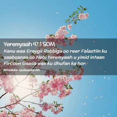 Picture 02 - Yeremyaah 47:1 SOM - Kanu waa Eraygii Rabbiga oo reer Falastiin ku - Bible Verse Picture