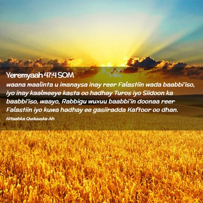 Picture 02 - Yeremyaah 47:4 SOM - waana maalinta u imanaysa inay reer Falastiin - Bible Verse Picture