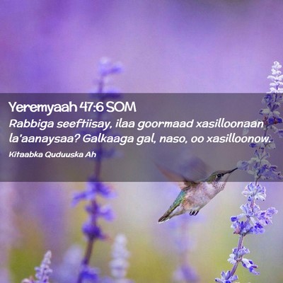 Picture 02 - Yeremyaah 47:6 SOM - Rabbiga seeftiisay, ilaa goormaad xasilloonaan - Bible Verse Picture