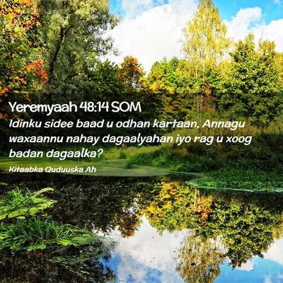 Picture 02 - Yeremyaah 48:14 SOM - Idinku sidee baad u odhan kartaan, Annagu - Bible Verse Picture