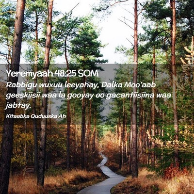 Picture 02 - Yeremyaah 48:25 SOM - Rabbigu wuxuu leeyahay, Dalka Moo'aab geeskiisii - Bible Verse Picture