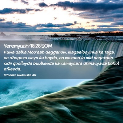 Picture 02 - Yeremyaah 48:28 SOM - Kuwa dalka Moo'aab degganow, magaalooyinka ka - Bible Verse Picture