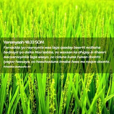 Picture 02 - Yeremyaah 48:33 SOM - Farxadda iyo rayraynta waa laga qaaday beertii - Bible Verse Picture