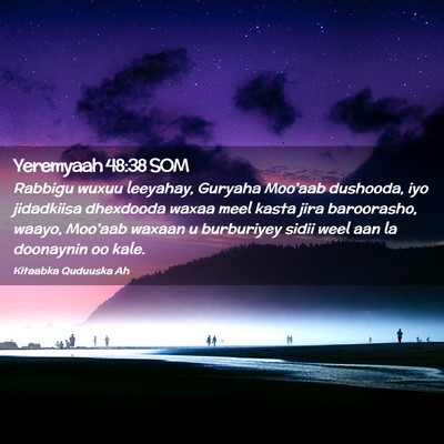 Picture 02 - Yeremyaah 48:38 SOM - Rabbigu wuxuu leeyahay, Guryaha Moo'aab dushooda, - Bible Verse Picture