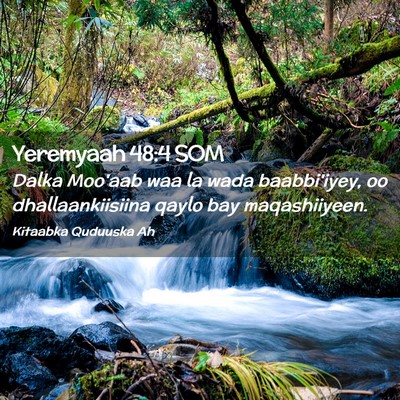 Picture 02 - Yeremyaah 48:4 SOM - Dalka Moo'aab waa la wada baabbi'iyey, oo - Bible Verse Picture