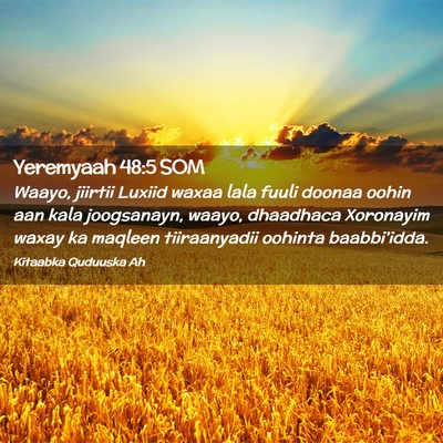 Picture 02 - Yeremyaah 48:5 SOM - Waayo, jiirtii Luxiid waxaa lala fuuli doonaa - Bible Verse Picture
