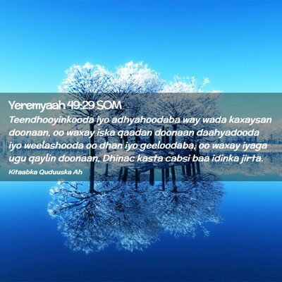 Picture 02 - Yeremyaah 49:29 SOM - Teendhooyinkooda iyo adhyahoodaba way wada - Bible Verse Picture