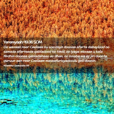 Picture 02 - Yeremyaah 49:36 SOM - Oo waxaan reer Ceelaam ku soo dayn doonaa afarta - Bible Verse Picture