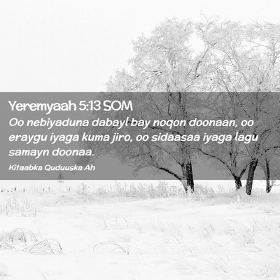 Picture 02 - Yeremyaah 5:13 SOM - Oo nebiyaduna dabayl bay noqon doonaan, oo eraygu - Bible Verse Picture