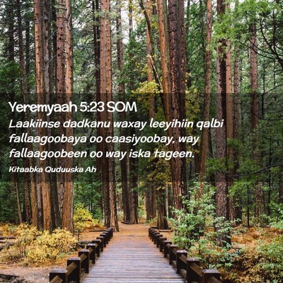 Picture 02 - Yeremyaah 5:23 SOM - Laakiinse dadkanu waxay leeyihiin qalbi - Bible Verse Picture