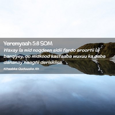 Picture 02 - Yeremyaah 5:8 SOM - Waxay la mid noqdeen sidii fardo aroortii la - Bible Verse Picture