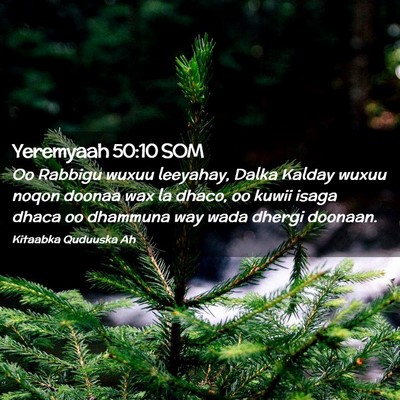 Picture 02 - Yeremyaah 50:10 SOM - Oo Rabbigu wuxuu leeyahay, Dalka Kalday wuxuu - Bible Verse Picture
