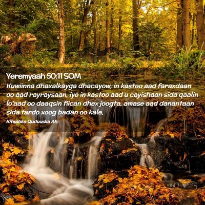 Picture 02 - Yeremyaah 50:11 SOM - Kuwiinna dhaxalkayga dhacayow, in kastoo aad - Bible Verse Picture