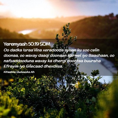 Picture 02 - Yeremyaah 50:19 SOM - Oo dadka Israa'iilna xeradooda ayaan ku soo celin - Bible Verse Picture