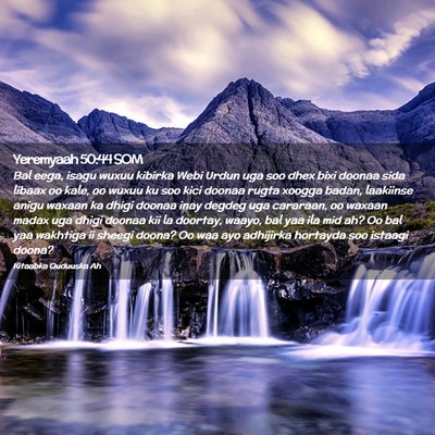 Picture 02 - Yeremyaah 50:44 SOM - Bal eega, isagu wuxuu kibirka Webi Urdun uga soo - Bible Verse Picture