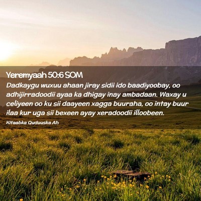 Picture 02 - Yeremyaah 50:6 SOM - Dadkaygu wuxuu ahaan jiray sidii ido baadiyoobay, - Bible Verse Picture