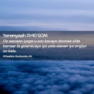 Picture 02 - Yeremyaah 51:40 SOM - Oo waxaan iyaga u soo kaxayn doonaa sida baraar - Bible Verse Picture
