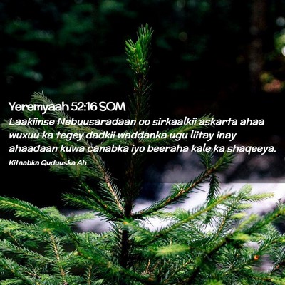 Picture 02 - Yeremyaah 52:16 SOM - Laakiinse Nebuusaradaan oo sirkaalkii askarta - Bible Verse Picture