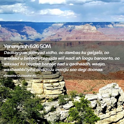 Picture 02 - Yeremyaah 6:26 SOM - Dadkaygow, joonyad xidho, oo dambas ku galgalo, - Bible Verse Picture