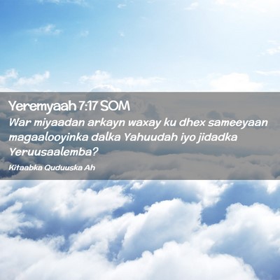 Picture 02 - Yeremyaah 7:17 SOM - War miyaadan arkayn waxay ku dhex sameeyaan - Bible Verse Picture
