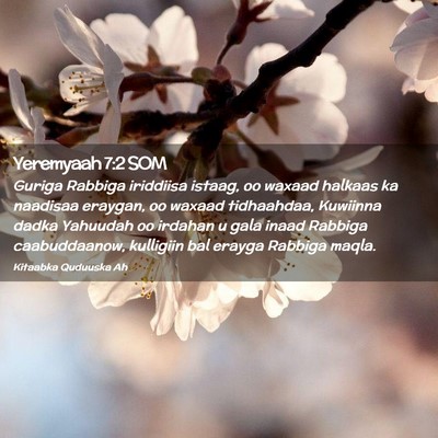Picture 02 - Yeremyaah 7:2 SOM - Guriga Rabbiga iriddiisa istaag, oo waxaad - Bible Verse Picture