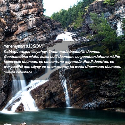 Picture 02 - Yeremyaah 8:13 SOM - Rabbigu wuxuu leeyahay, Waan wada baabbi'in - Bible Verse Picture