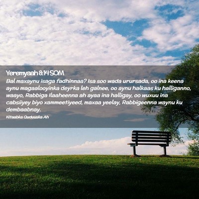 Picture 02 - Yeremyaah 8:14 SOM - Bal maxaynu isaga fadhinnaa? Isa soo wada - Bible Verse Picture