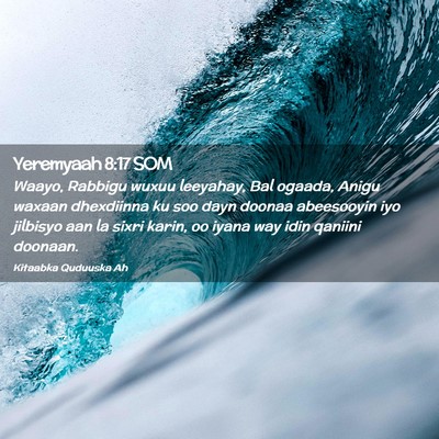 Picture 02 - Yeremyaah 8:17 SOM - Waayo, Rabbigu wuxuu leeyahay, Bal ogaada, Anigu - Bible Verse Picture