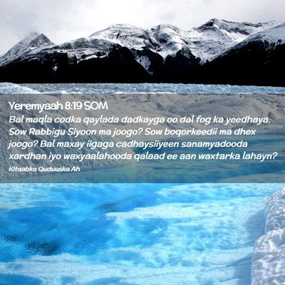 Picture 02 - Yeremyaah 8:19 SOM - Bal maqla codka qaylada dadkayga oo dal fog ka - Bible Verse Picture